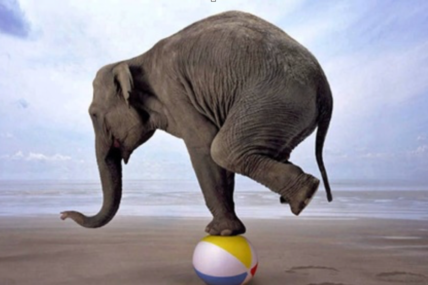 It’s All About Balance